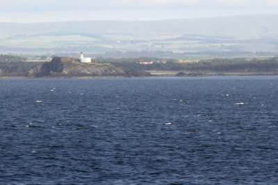  Fidra Island lighthouse came into view next. (Thanks to Peter, Scotland's Northern Lighthouse Board, for ID help.)  