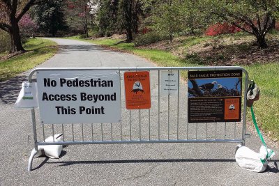 Ap 10 - Barricade in Arboretum