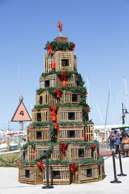 Back near the port, I saw this lobster trap tree - popular in NE, but hadn't seen one in Florida