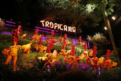 We were taken to the Tropicana, a huge place with cramped outdoor seating.  There were numerous costume changes.