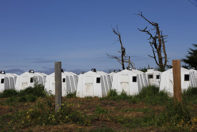 In the morning we drove to Pt Reyes National Seashore.  Here are calf pens on one of the rented dairy farms