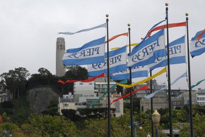 I seldom visit Fisherman's Wharf, but I since we were so close, I went.  I like Coit Tower with flags!