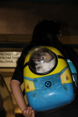 Ugh.  Howard pointed out this dog in a backpack on the BART escalator. 