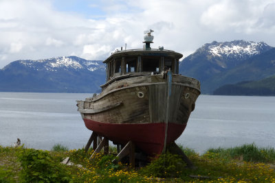 I walked the 1.5 miles to the small town of Hoonah, passing this boat on the way. 