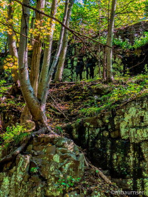 South Mountain Reservation 1210953