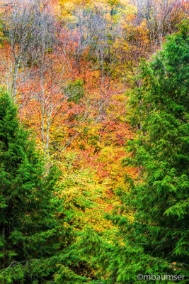 Vermont Colors 147069