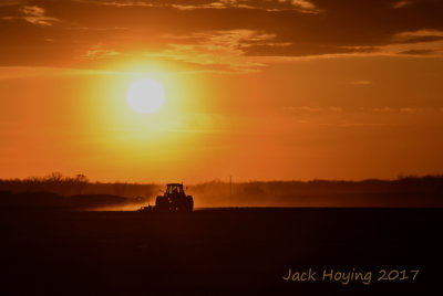 Farmer in the Field at Sunset