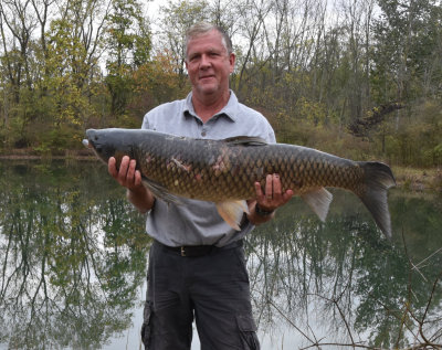 I finally landed the huge old grass carp that was in our pond