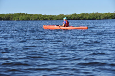 Kayaking near Matlacha, Florida