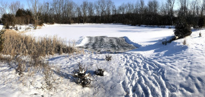 Clearing a small patch of ice on the pond