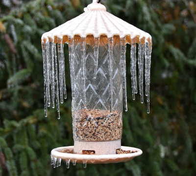 Ice storm effects on the bird feeder