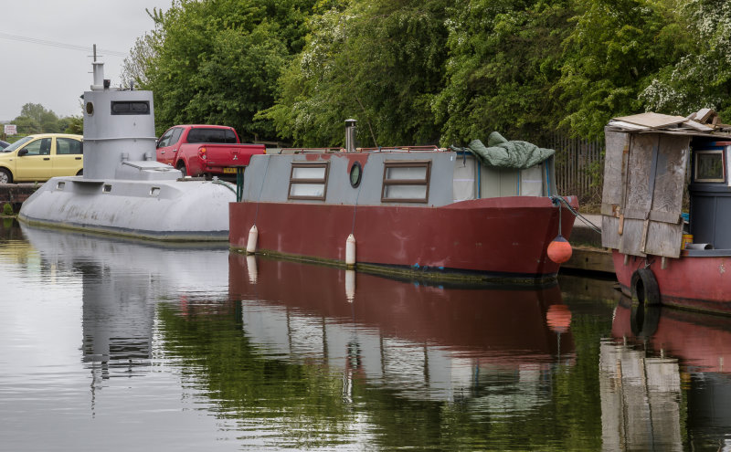 Beverley Beck IMG_8681.jpg