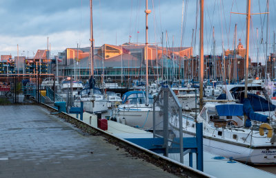 Hull Marina IMG_5930.jpg