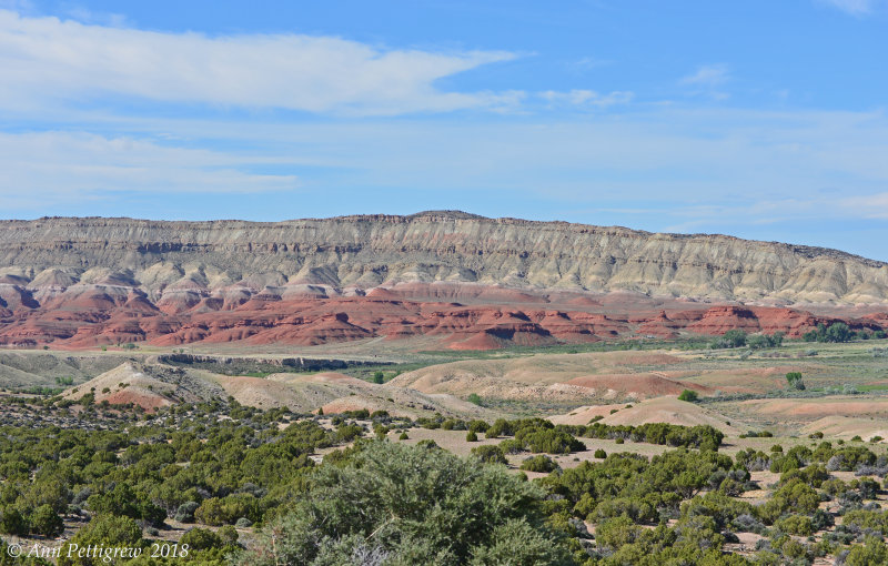 Pryor Mountain Horse Range