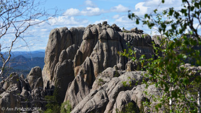Black Hills of South Dakota