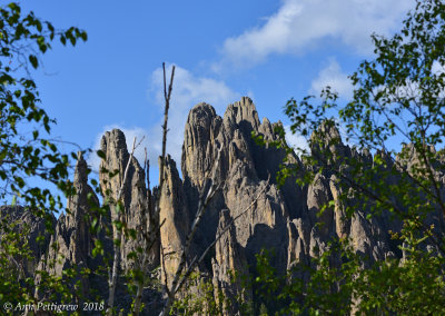Needles Highway