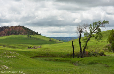Wind Cave National Park