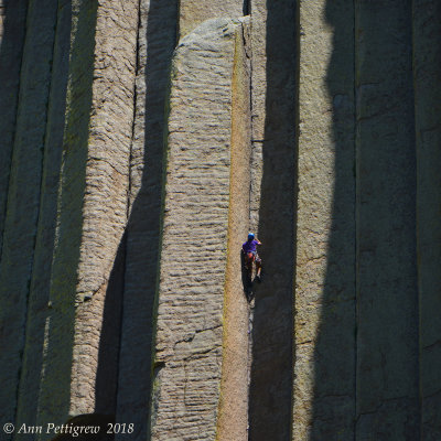 Climber on Devils Tower