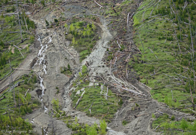 Mudslide