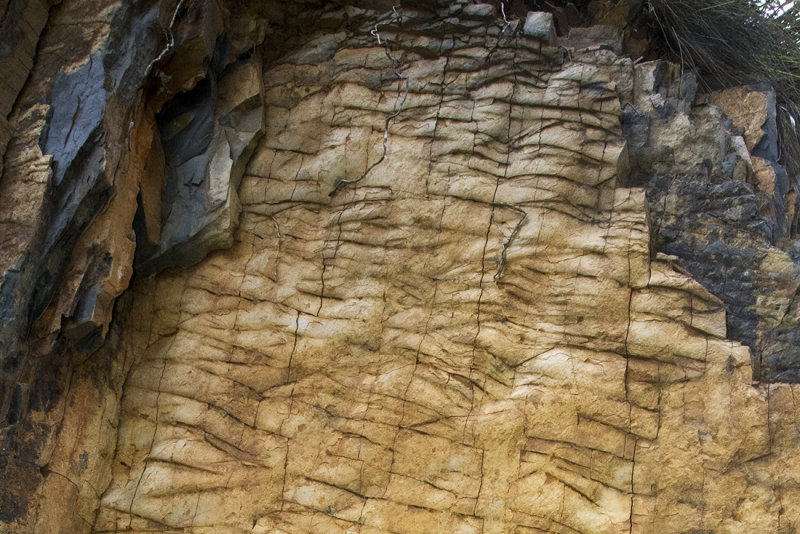  Shale and slate like sediment, from 200 million years ago, now at 2000 meters elev.