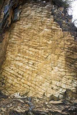 171021 172  Sedimenrty rock, odd pattern maybe 200,000,000 yeas old.
