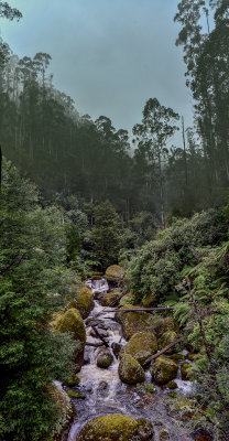 159 Pano,  Baw Baw  National Forest  Victoria , Australia.