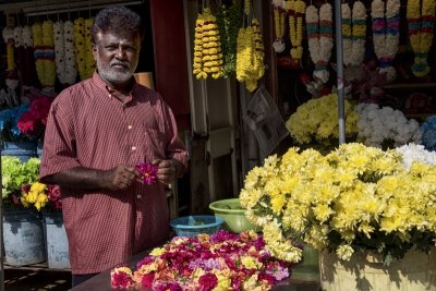 Florist