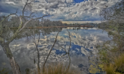 Serpentine River Reflections