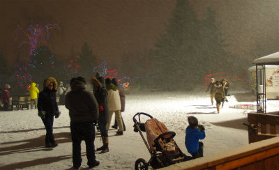 Christmas Lights - Calgary Zoo