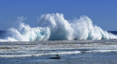 West coast swells!