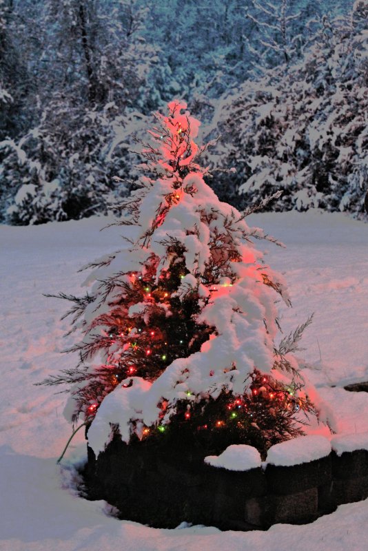 First Snow (12/8/17) We may Get up to 8 snow over night