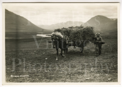 001 Nr. Akureyri Icelandic Boy with Horse & Hay Cart.jpg
