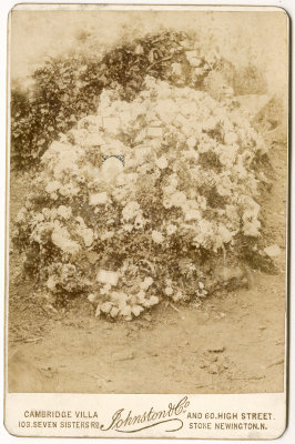 Cabinet Card Photo