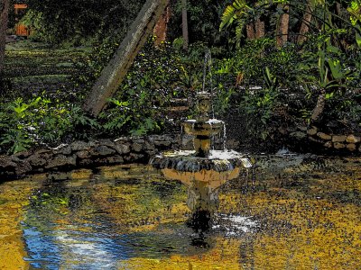 Washington Oaks State Park, St Augustine