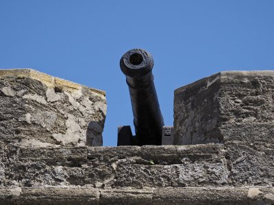P4216304