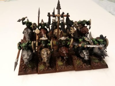 Goblin Wolf Riders.jpg