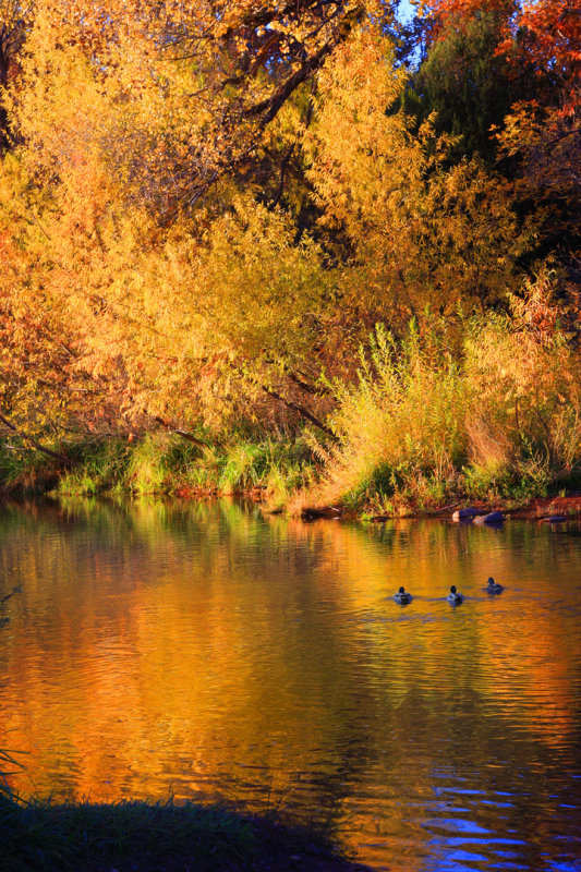 0029-IMG_9199V2-Fall Reflections in Oak Creek at Sunset.jpg
