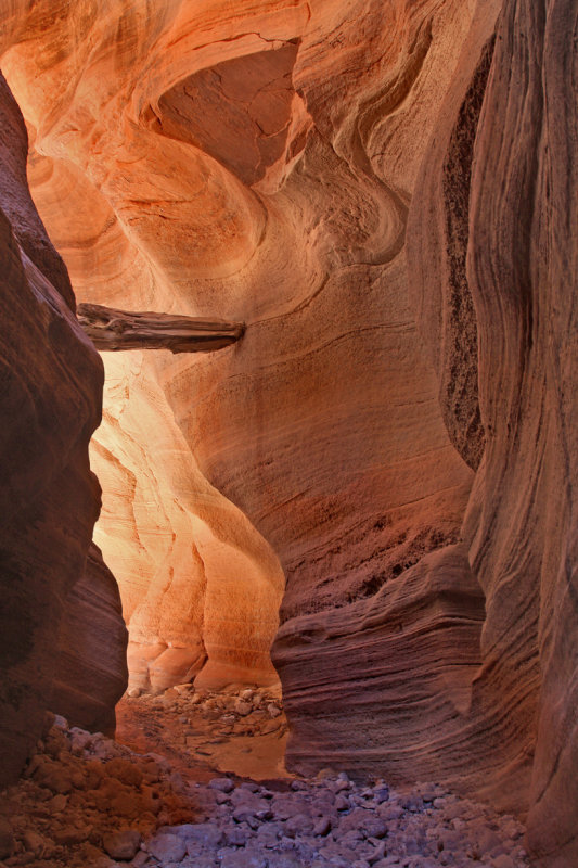 0027-IMG_0013-Buckskin Gulch Trail Views.jpg