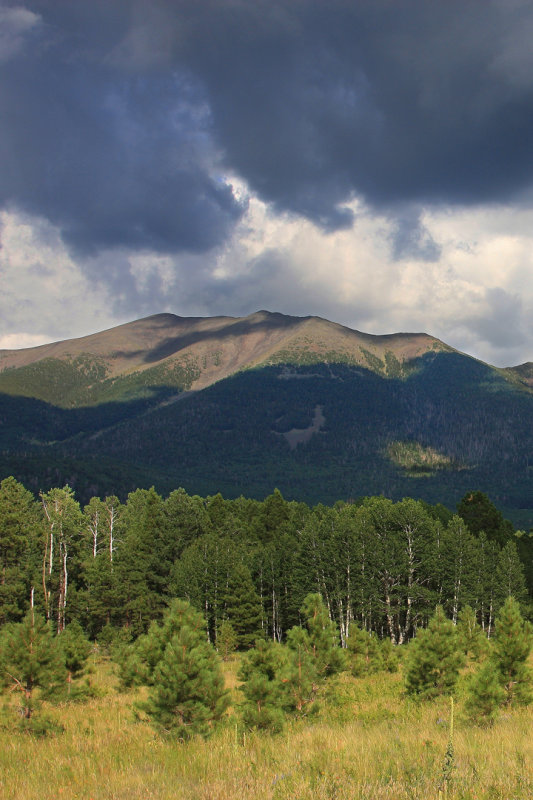 0011-IMG_5275-San Francisco Peaks, Flagstaff-.jpg