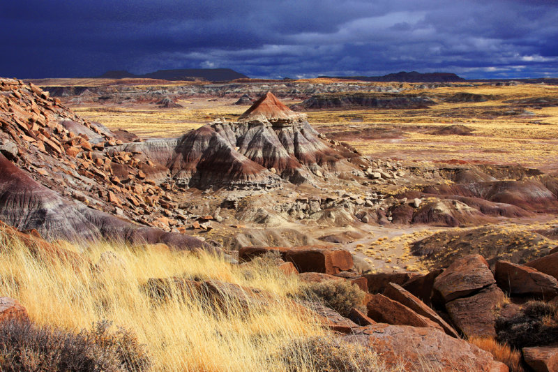 002-IMG_0360-Painted Desert Views.jpg