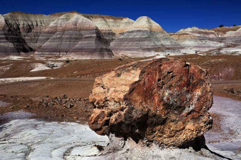 0013-3B9A7927-Painted Desert & Petrified Forest Landscapes.jpg