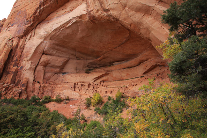 0022-IMG_9584-Betatakin Ruin, Navajo National Monument, .jpg
