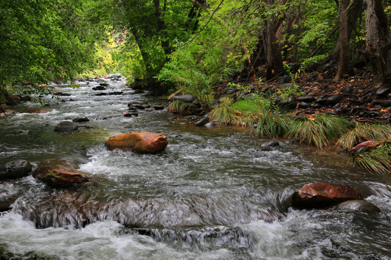 0043-3B9A5602-Oak Creek, Sedona.jpg