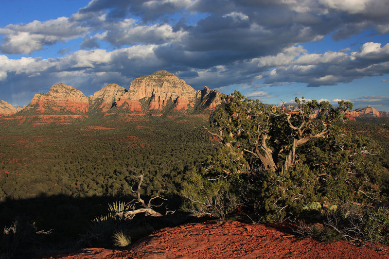 0056-IMG_1232-Sedona Landscapes.jpg