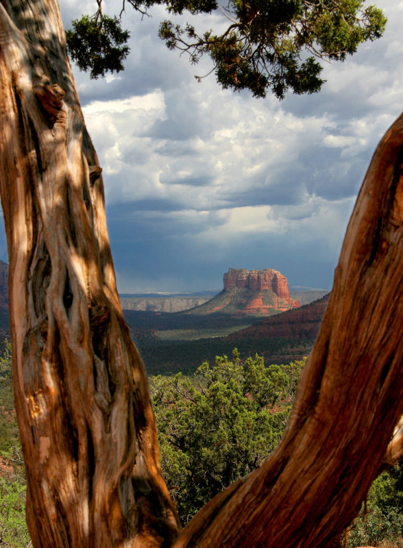0038-Framing Tree (300), Sedona.jpg