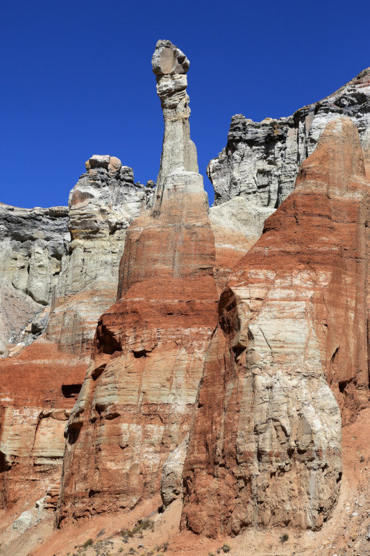 0043-3B9A9380-Inside Views of Coalmine Canyon.jpg