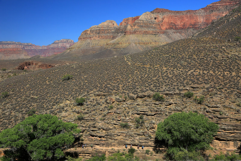 065-3B9A0728-Bright Angel Trail Hikers, Grand Canyon.jpg