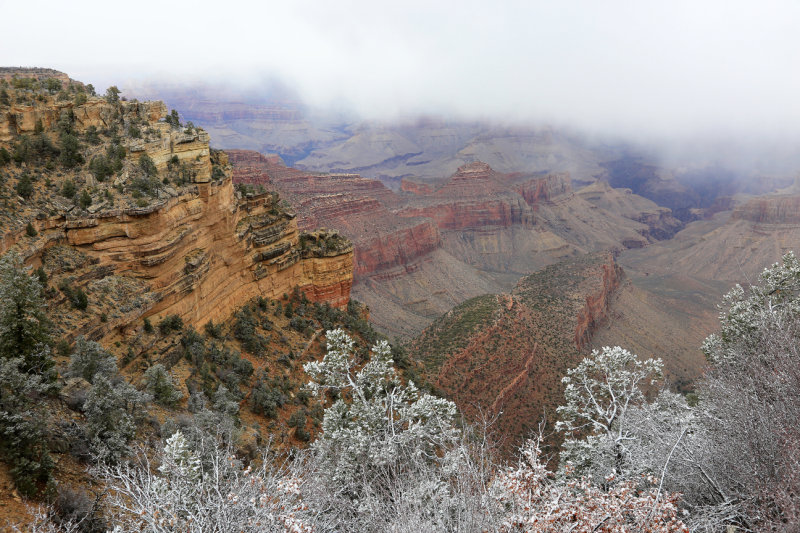 056-3B9A8773-Grand Canyon Views.jpg