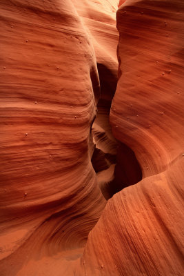 0027-IMG_9975-Rattlesnake Slot Canyon.jpg