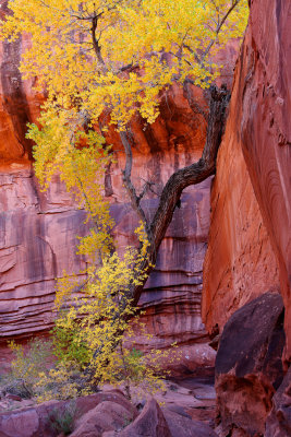 004-IMG_9718-Colors of Fall.jpg